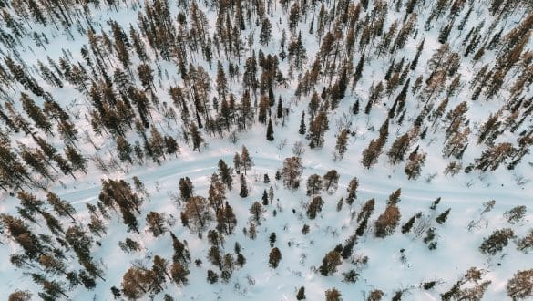 Natuur Lapland