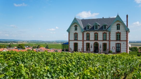 Chateau de Sacy
