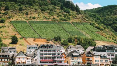Moselle Wine - Moselle River road trip