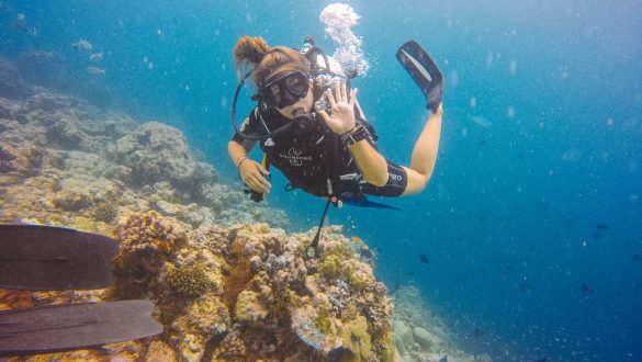 Maafushi diving