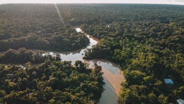 Amazone river